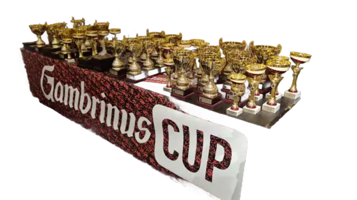 AI: Poháry na MČR.JPG (removeBg)